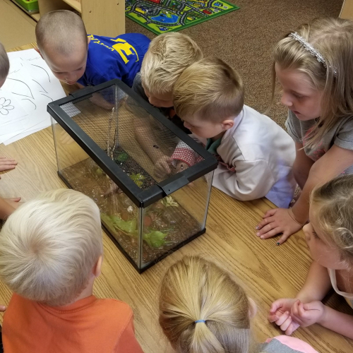 Kids looking in a fish tank