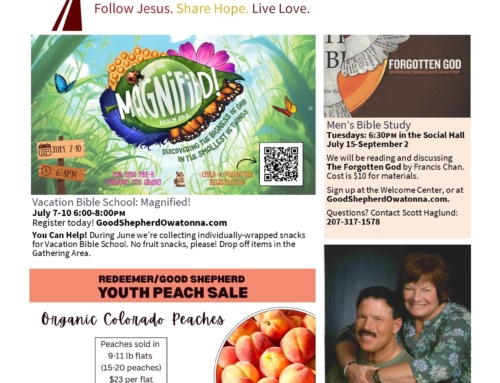Summer 2025 GSO Newsletter